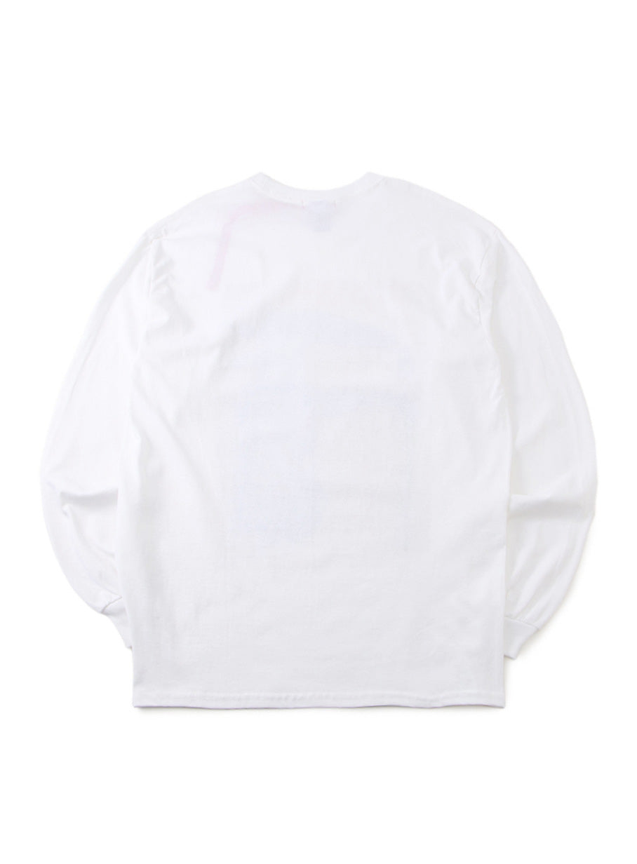SSSL LS Tee 計測