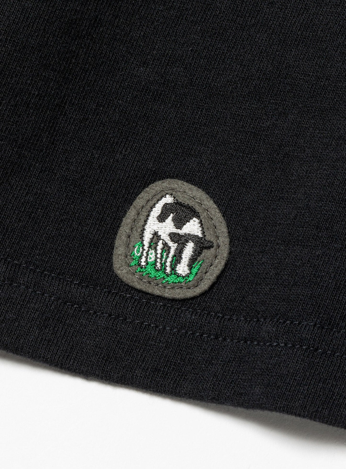 BASIC T-SHIRT 5月