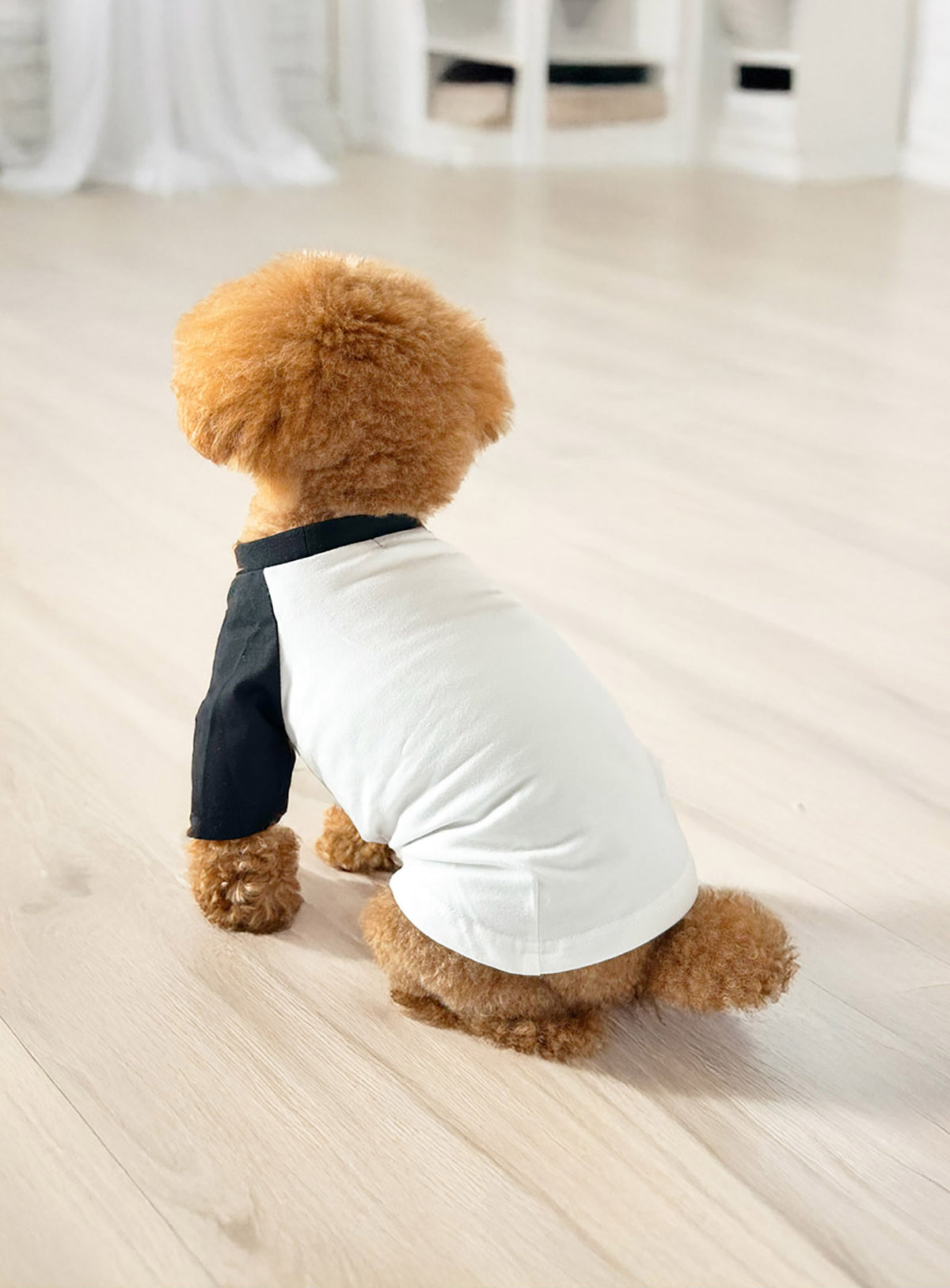 犬と人 犬のラグランTシャツ CUNEウサギ