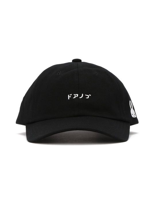 6Pキャップ 20S2 ドアノブ