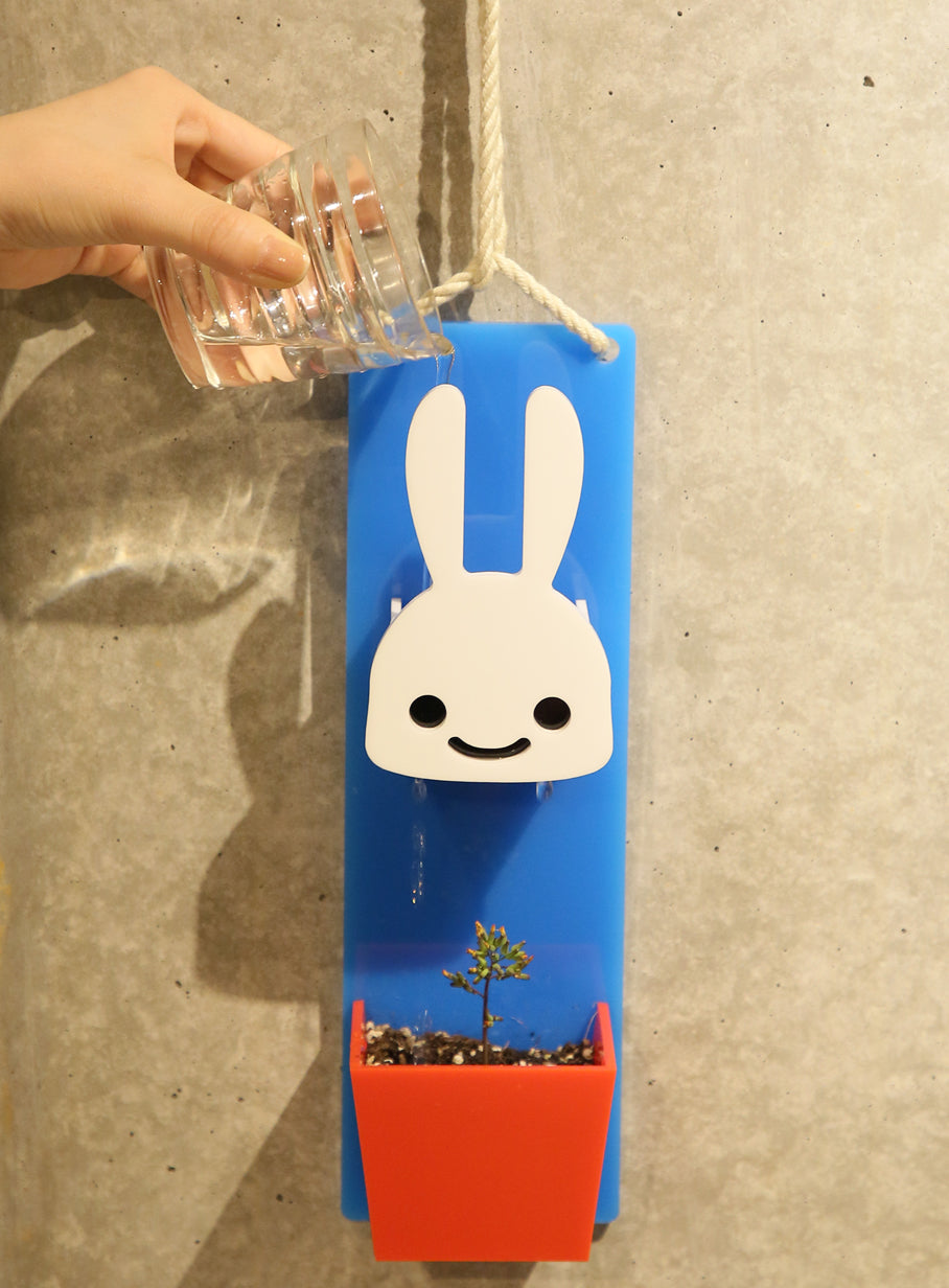 水あげられるやつ