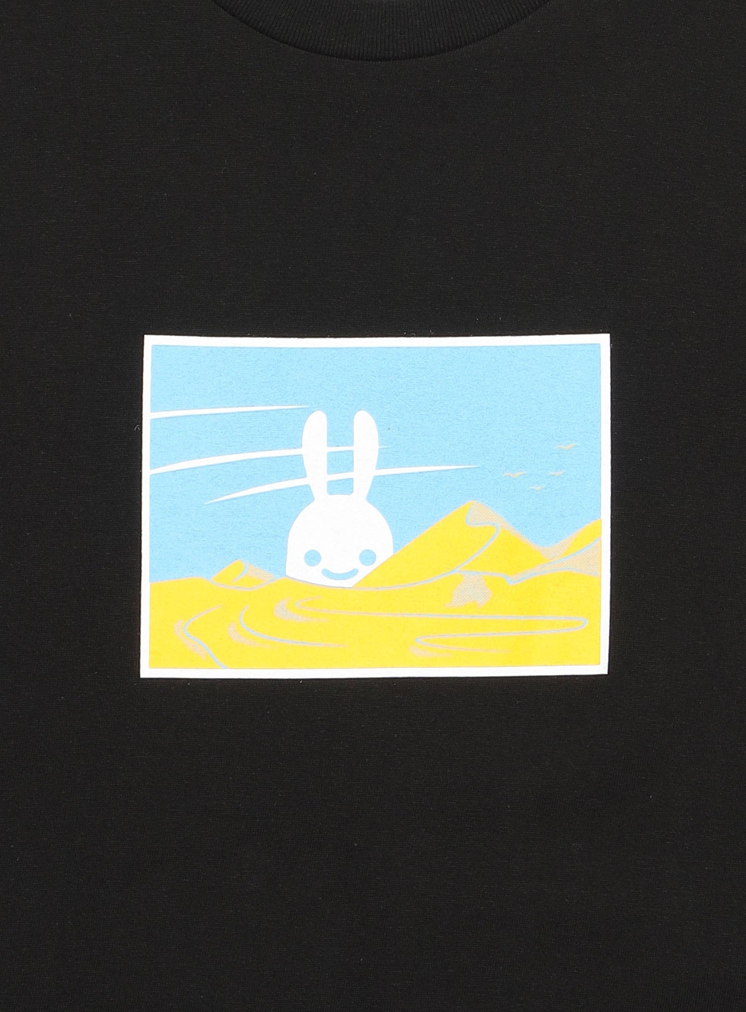 S/S Tee 砂漠