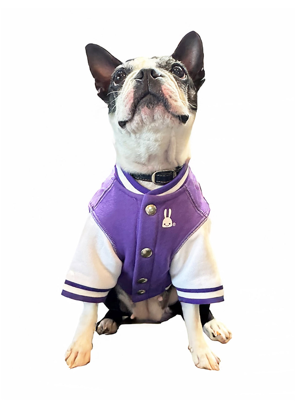 犬と人 犬のスウェットスタジャン CUNEウサギ