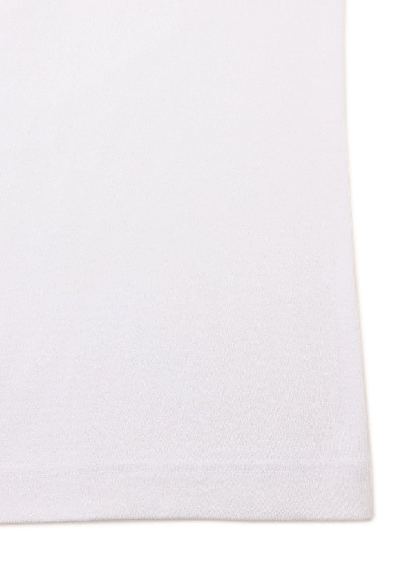 S/S Tee スプレー