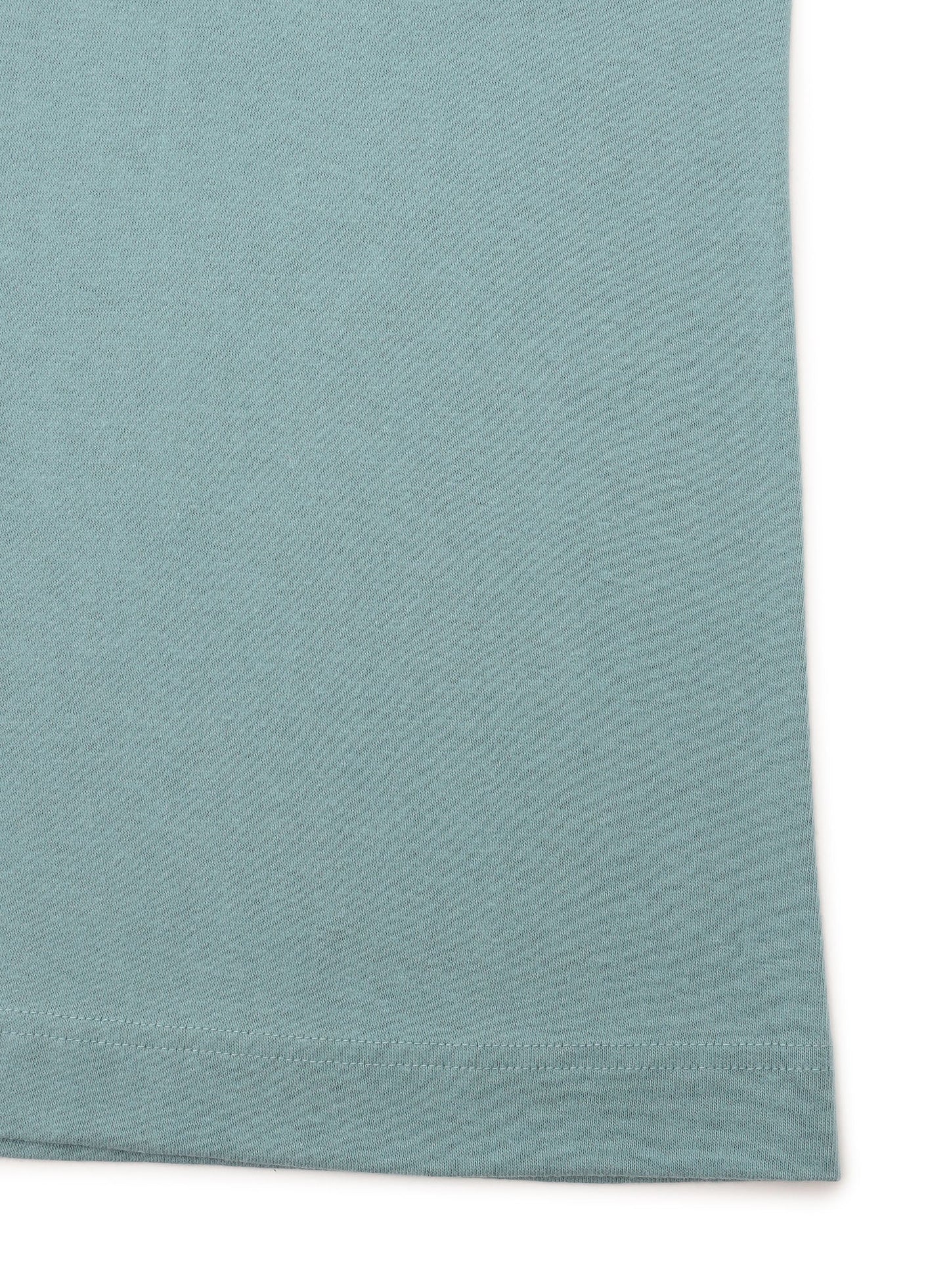 S/S Tee かき氷
