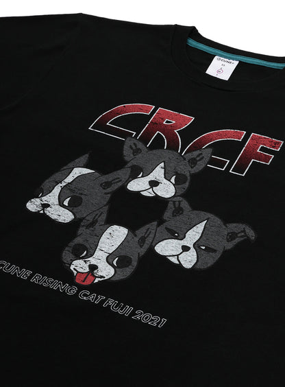 CRCF SST 犬