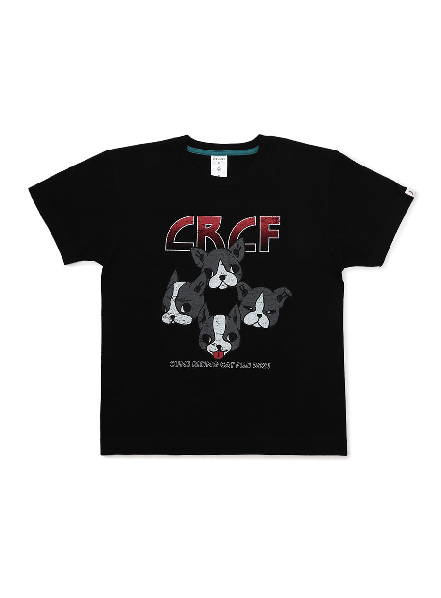 CRCF SST 犬