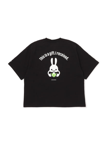 PTGC 2025 WINTER ビッグTEE ボックス
