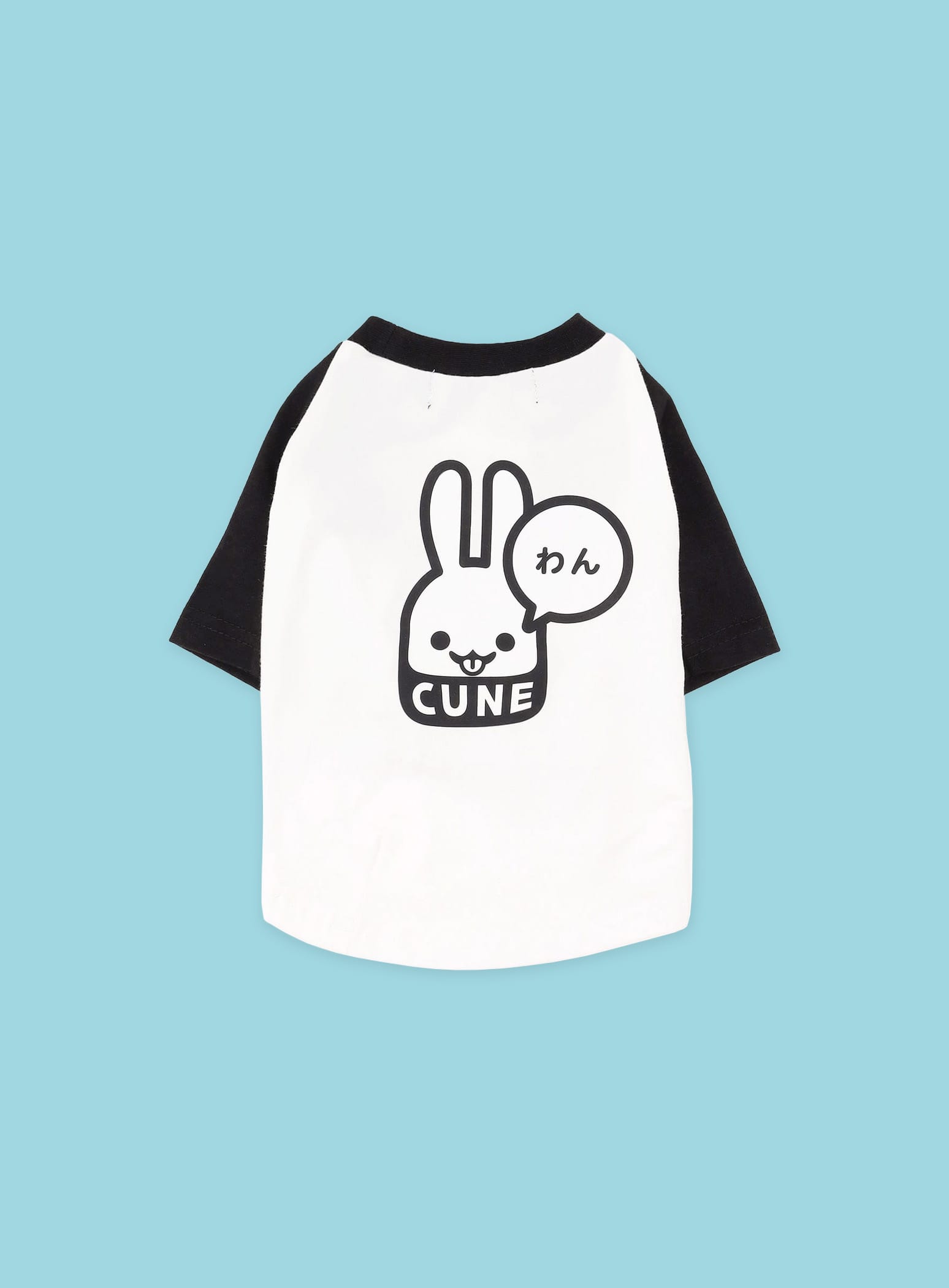 LIFESTYLE/PET – CUNE