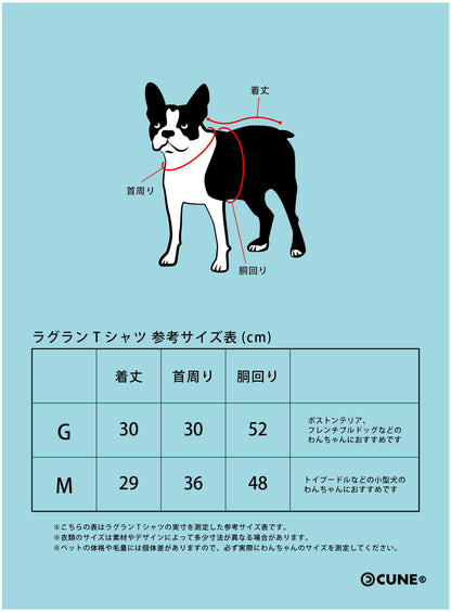 犬と人 犬のラグランTシャツ U5