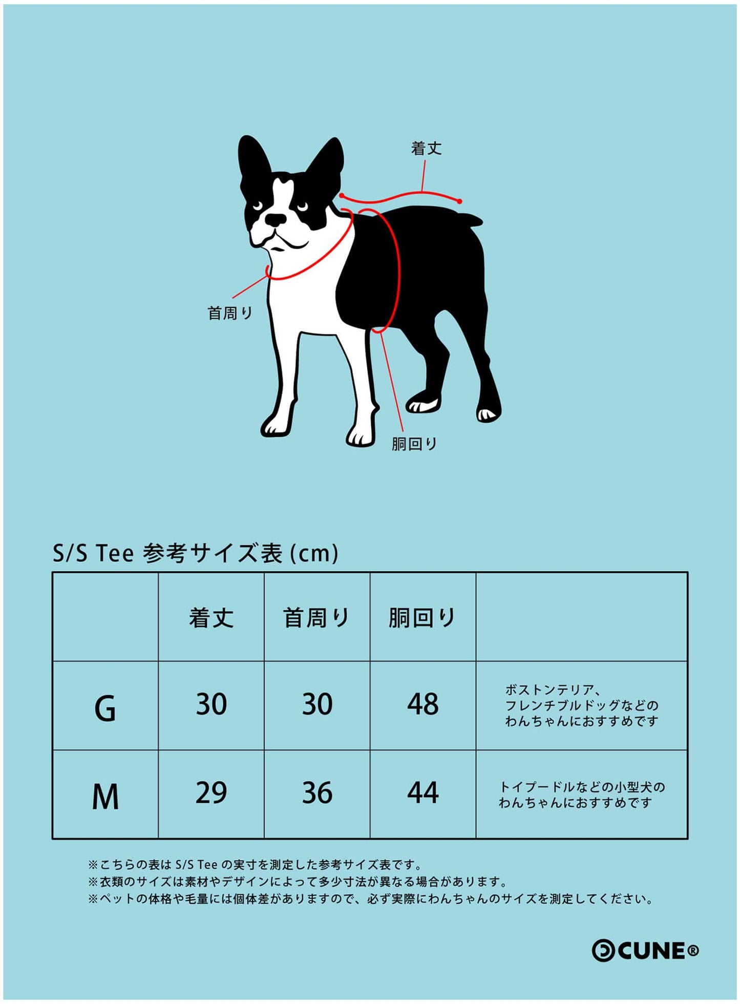 犬と人 犬のS/S Tee CUNEいぬ
