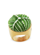 キャベツリング