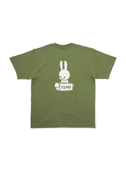 S/S Tee ダンボール1