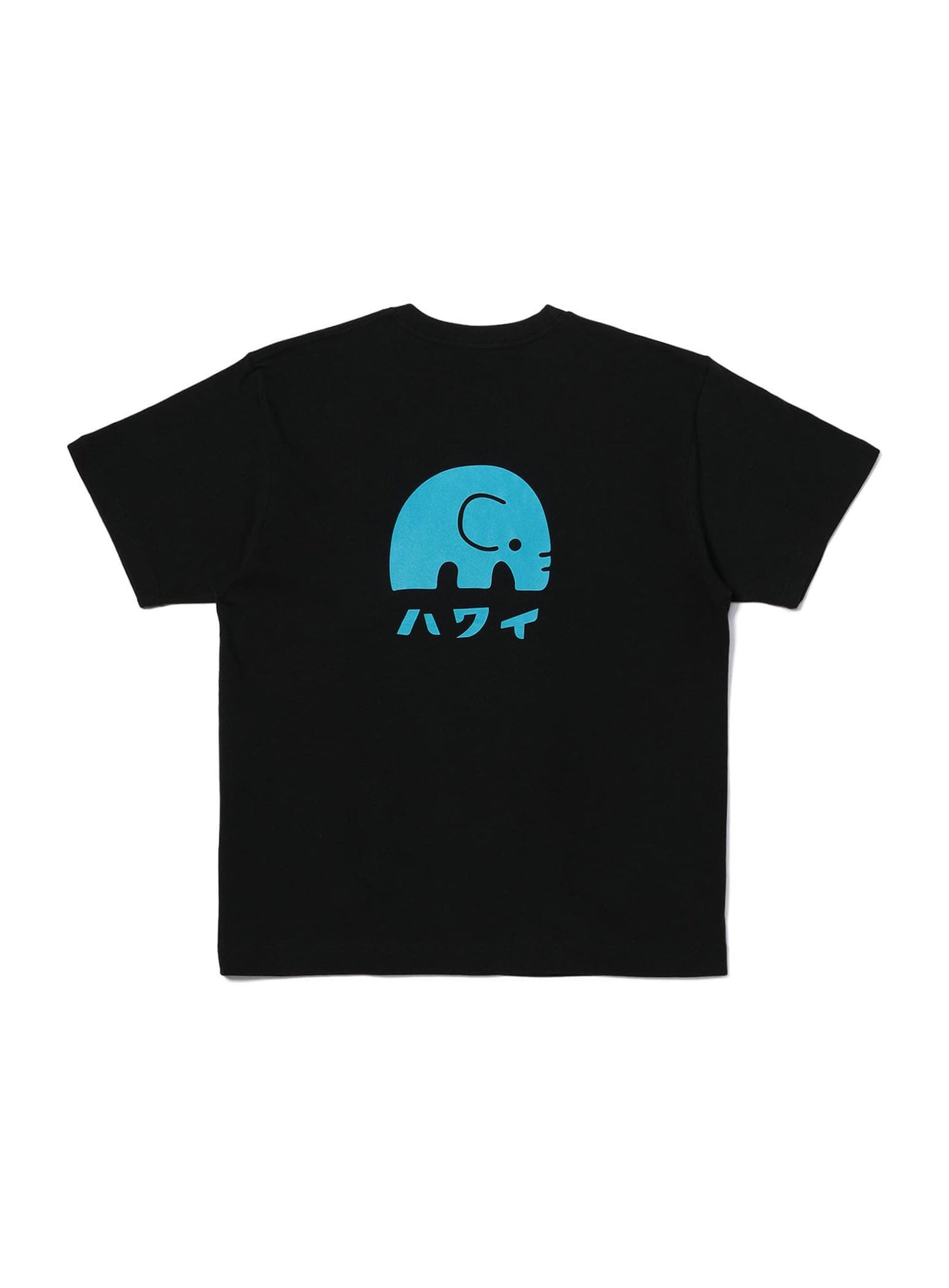 S/S Tee ハワイ
