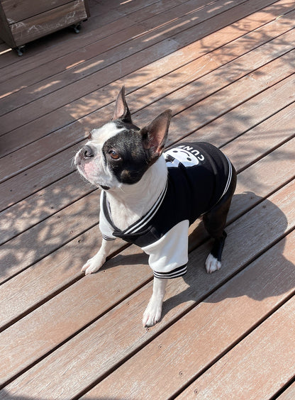 小型犬のスウェットスタジャン
