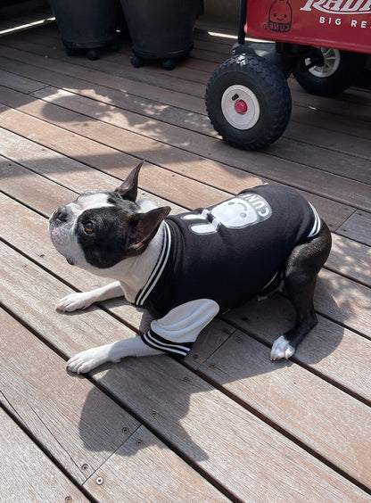 小型犬のスウェットスタジャン