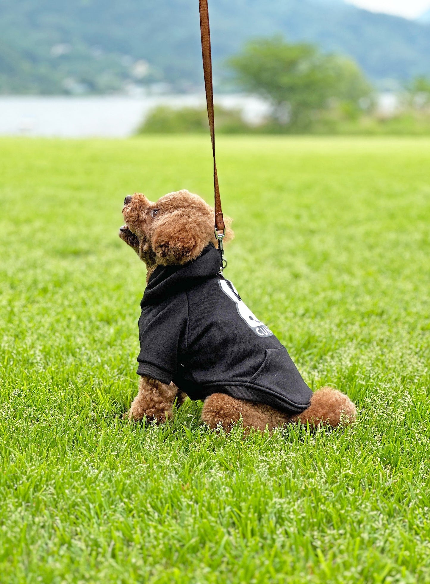 小型犬のプルパーカー