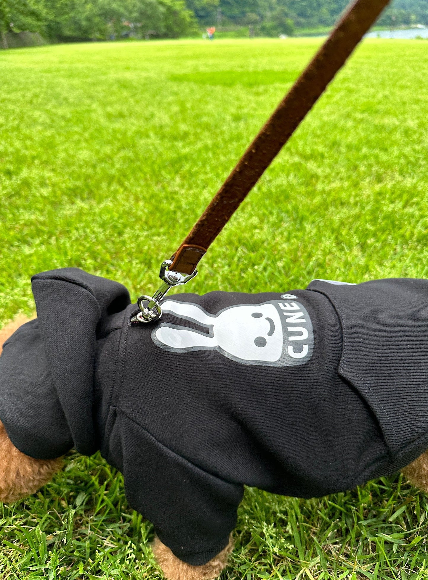 小型犬のプルパーカー