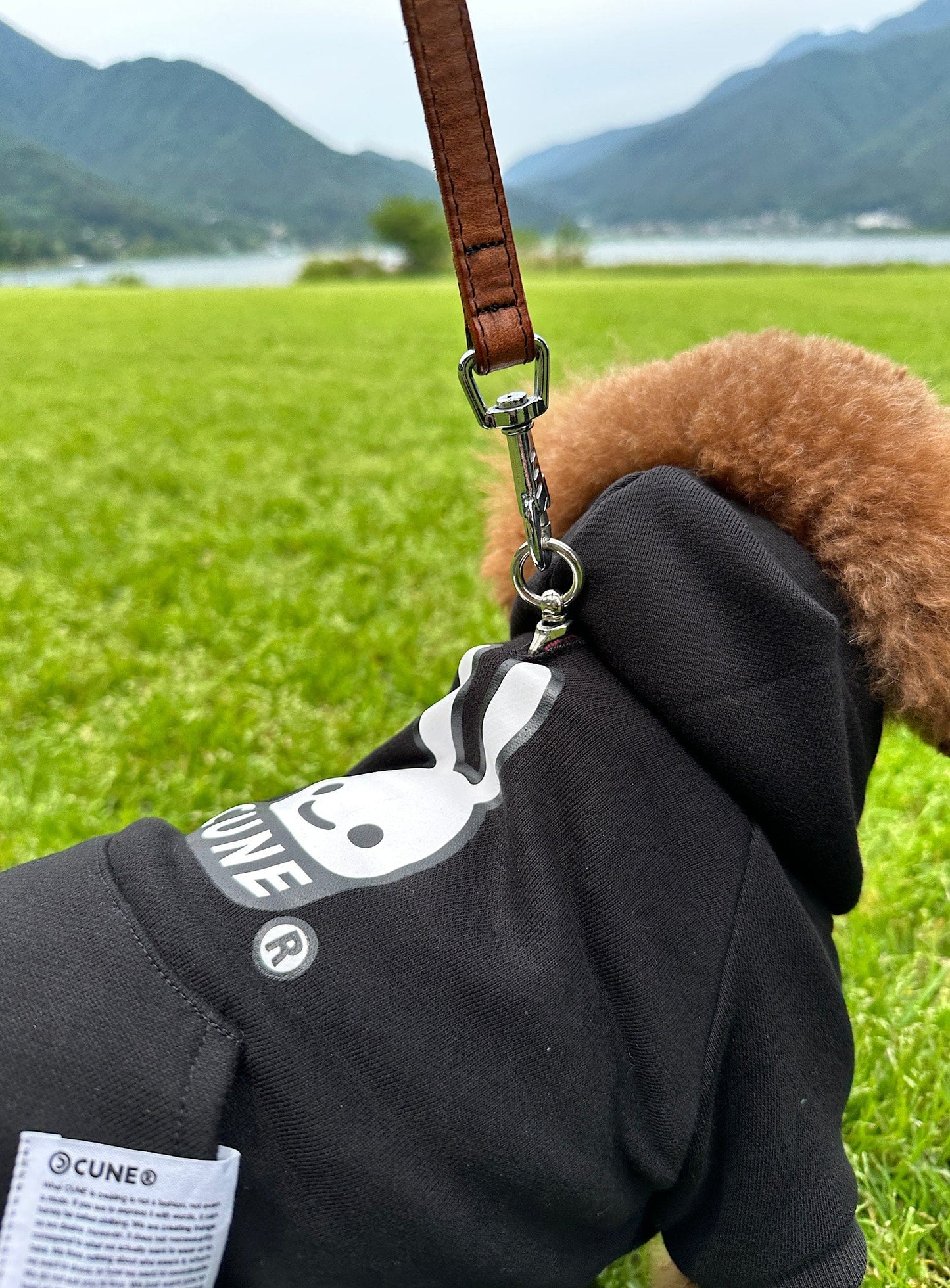 小型犬のプルパーカー