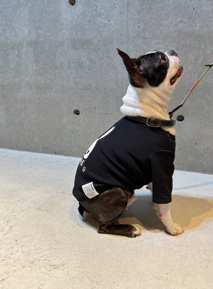 小型犬のTシャツ