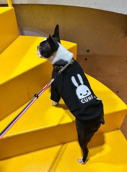 小型犬のTシャツ