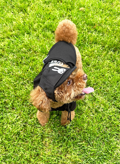 小型犬のソフトコットンキャップ
