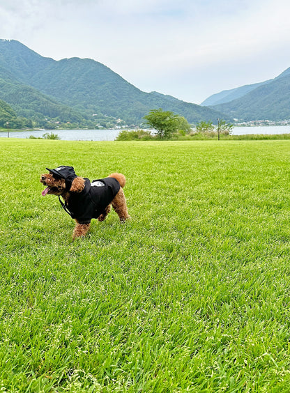小型犬のソフトコットンキャップ