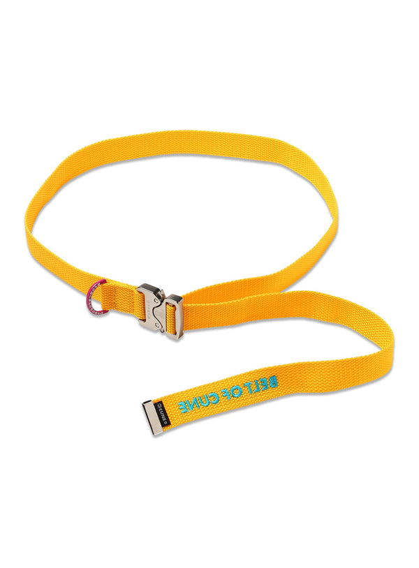 がっちゃんこベルト