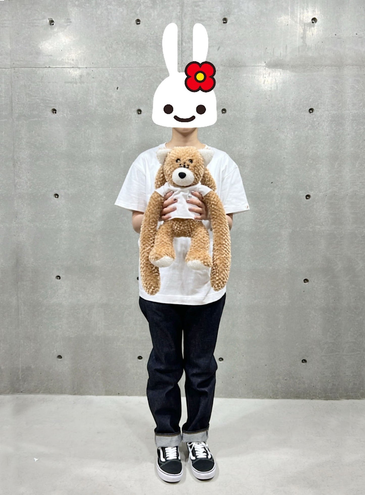 犬