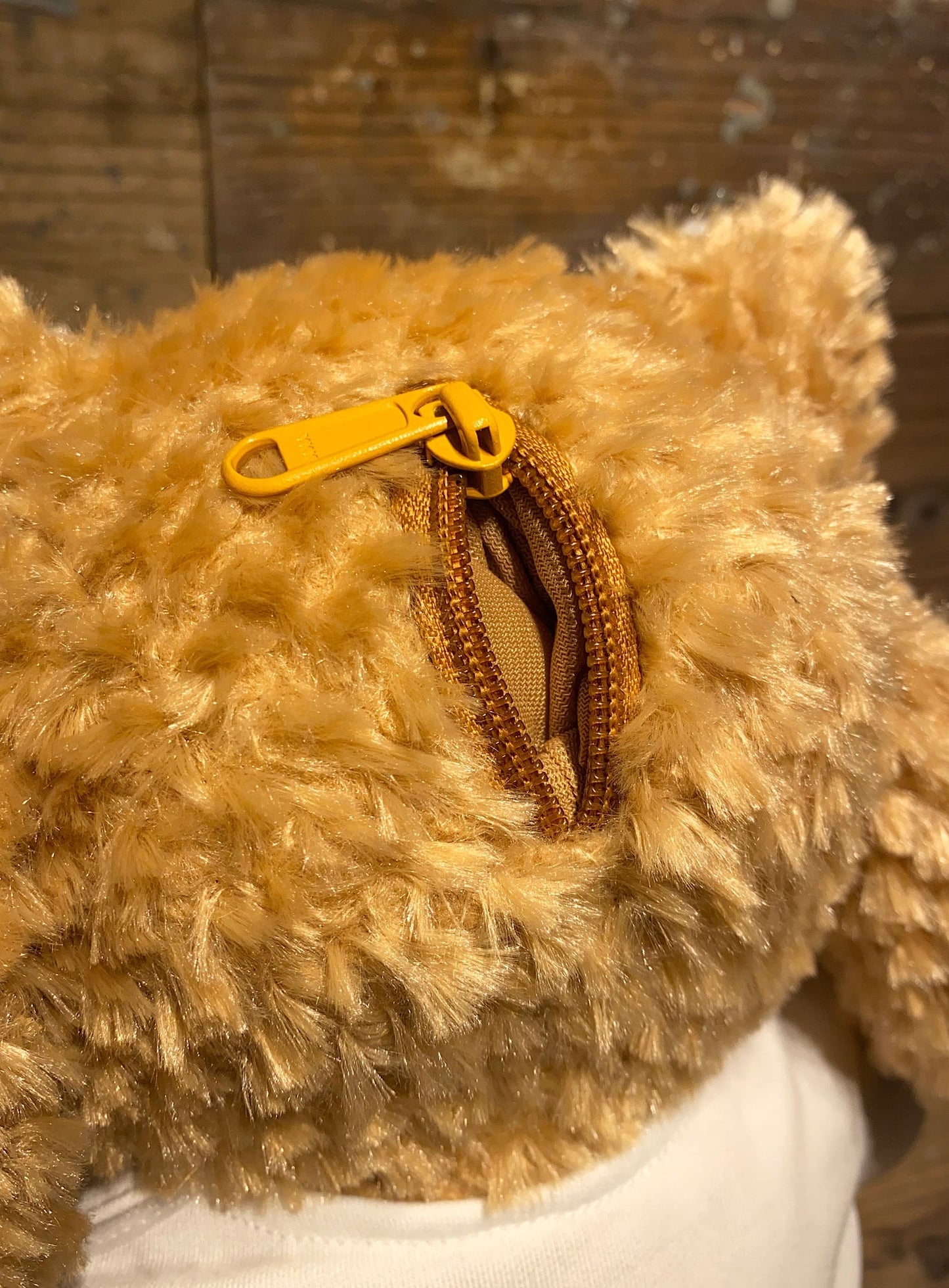 犬