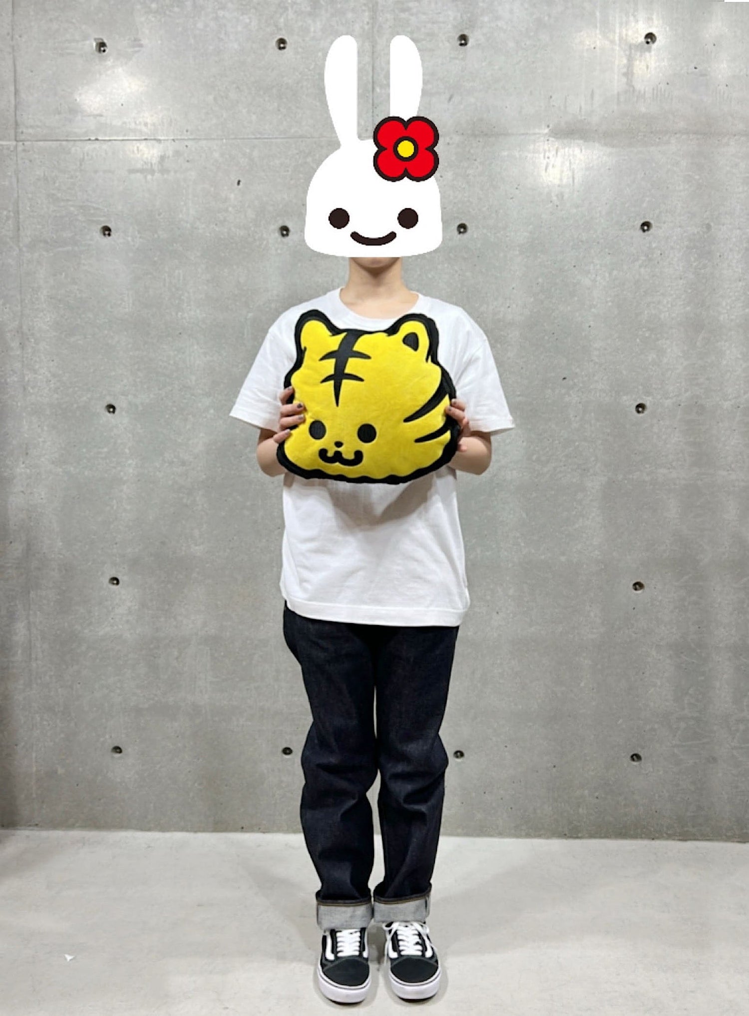 とらちゃんクッション