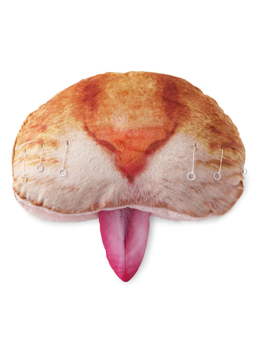 フグフグクッション 大