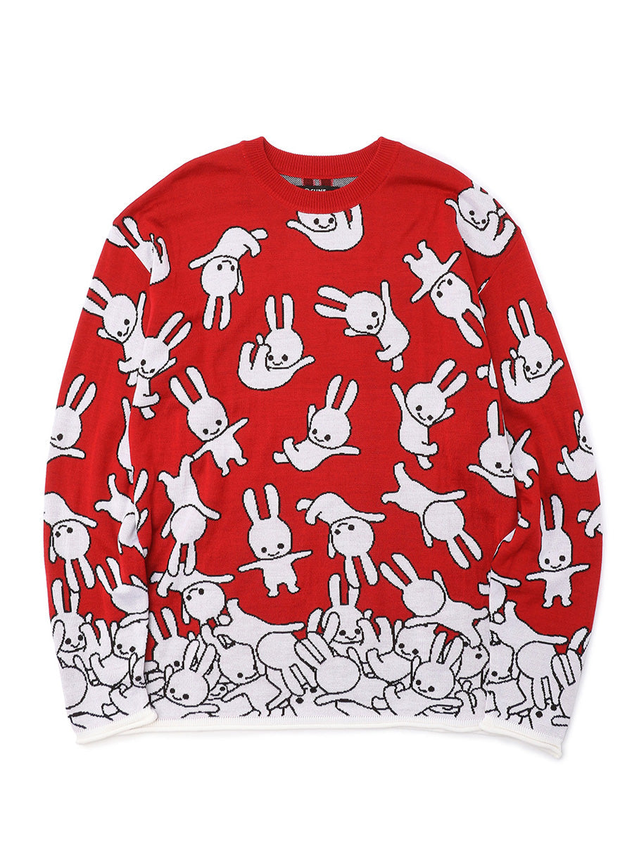 落下ウサギのセーター
