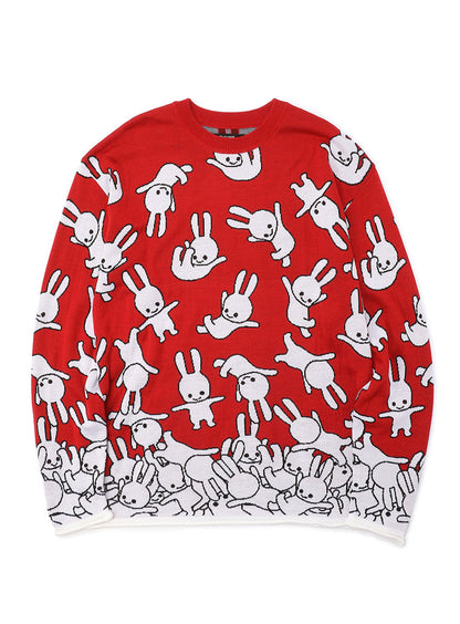 落下ウサギのセーター