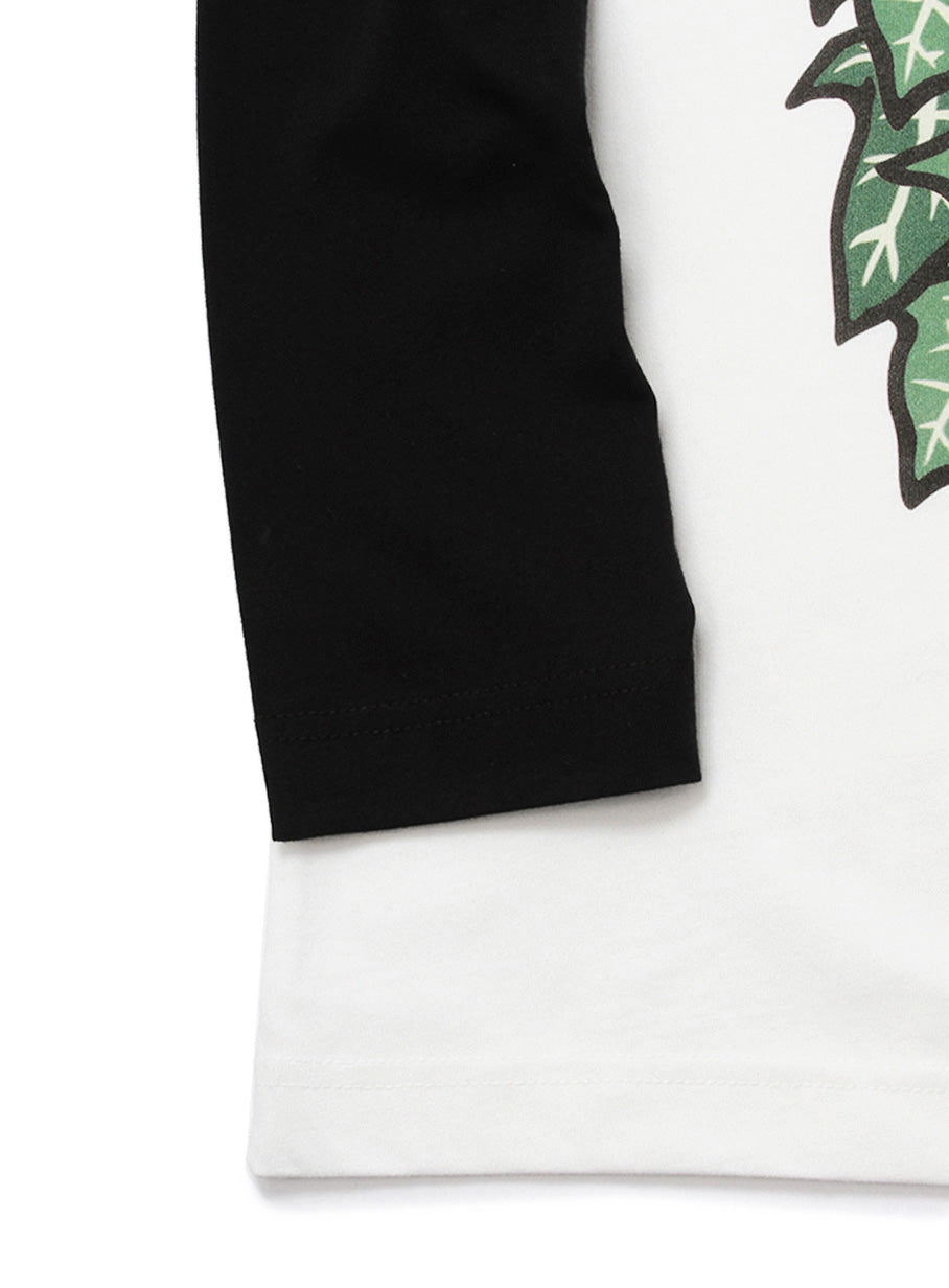 Toshihisa Akagi RG-Tee 植物