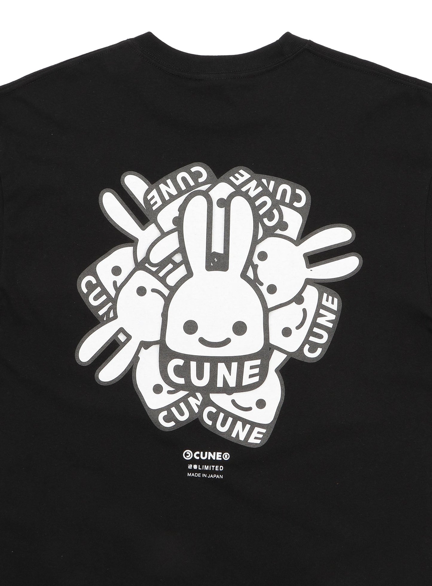 SST CUNEうさぎたくさん