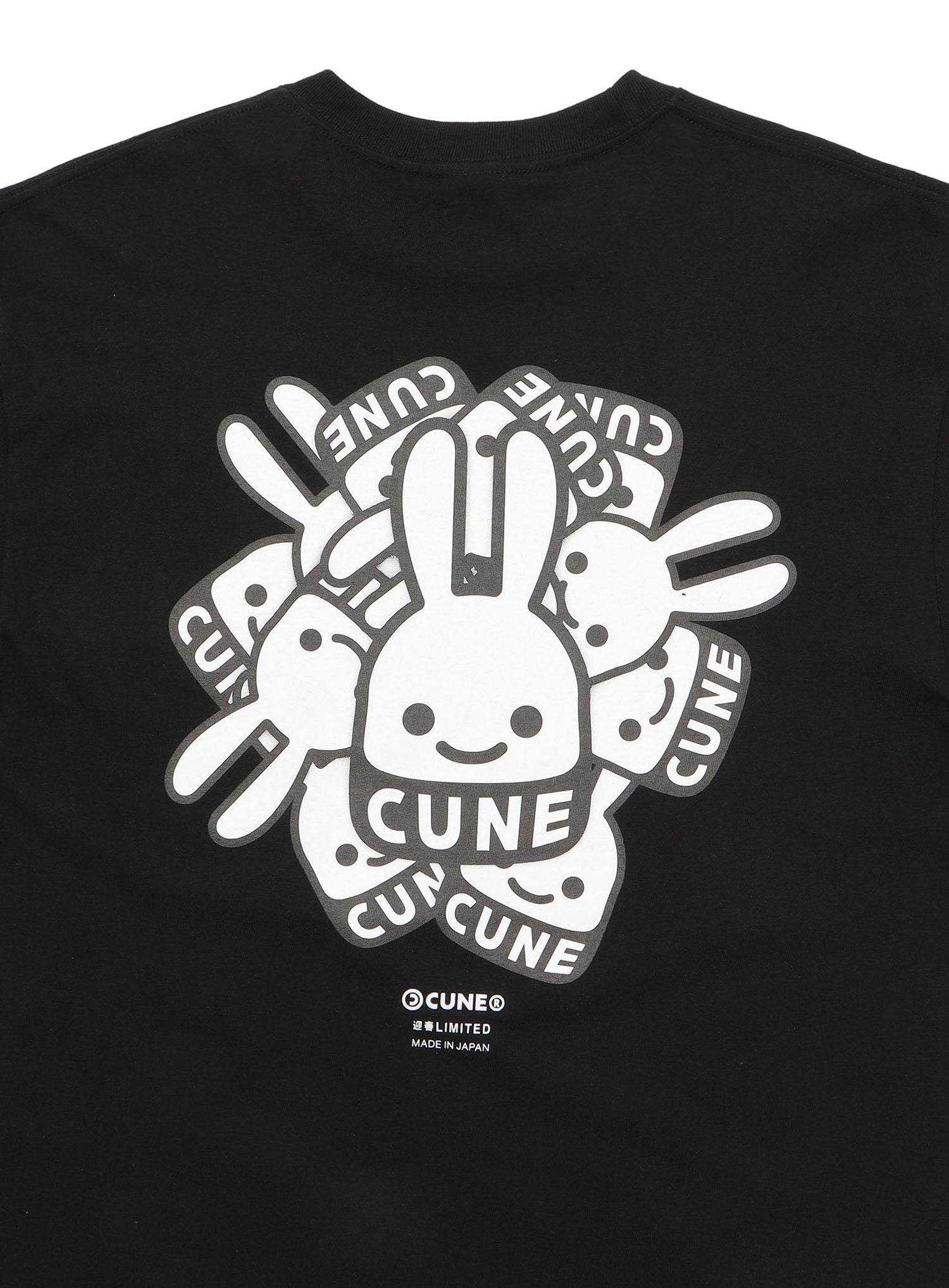 SST CUNEうさぎたくさん