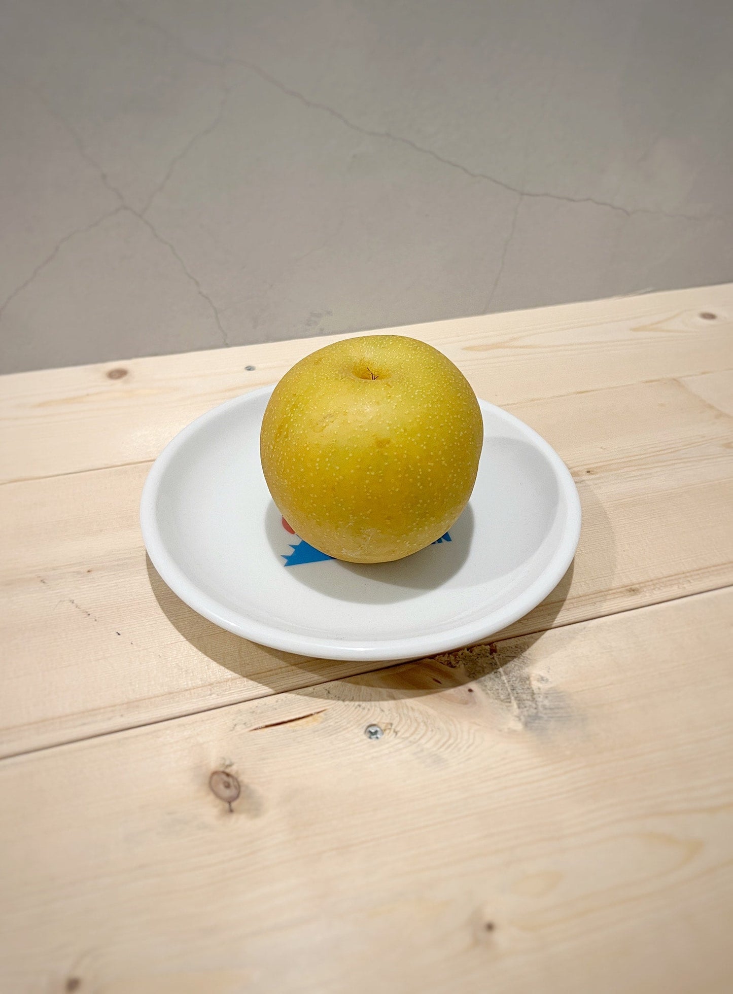 THLJスーベニアのプレート