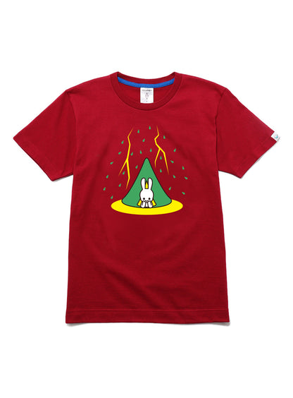 S/STee 一人キャンプ