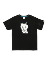 S/Stee 猫びっくり
