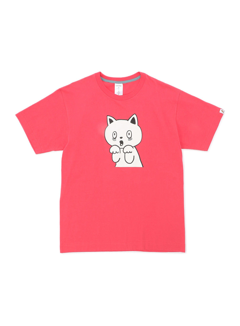 S/Stee 猫びっくり