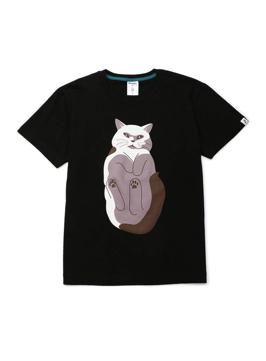 S/Stee 猫