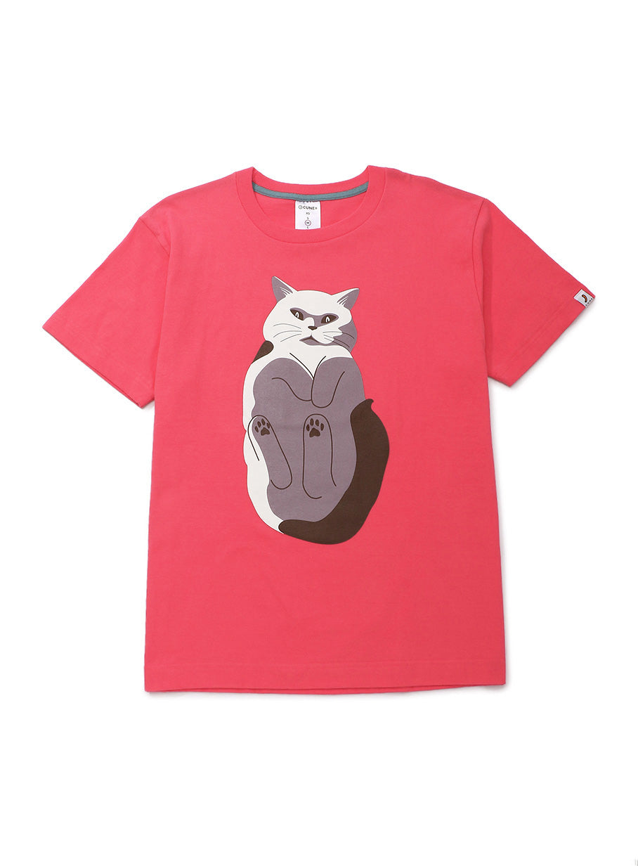S/Stee 猫