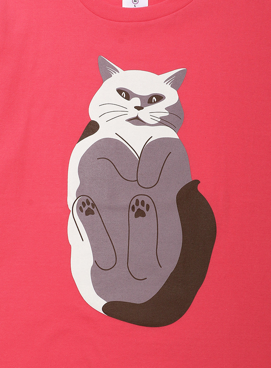 S/Stee 猫