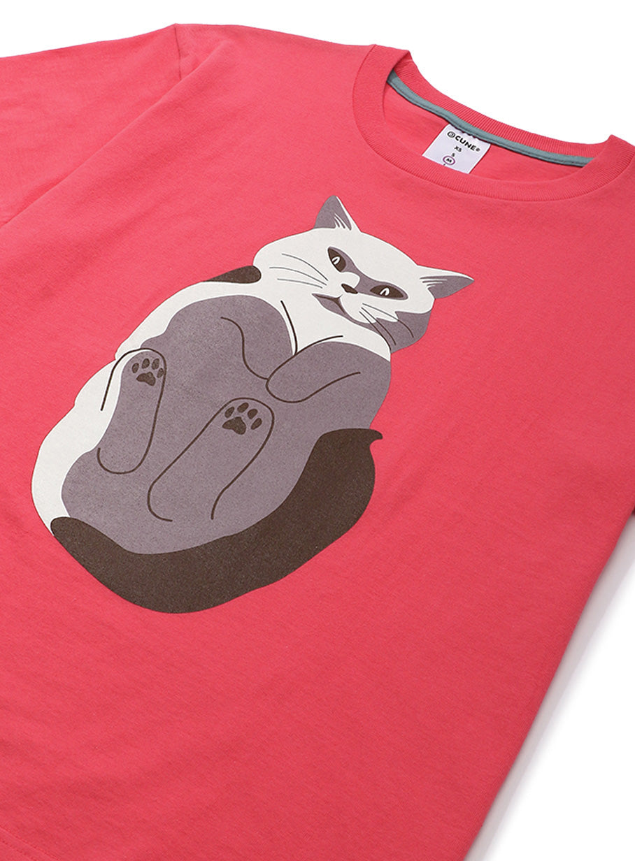 S/Stee 猫