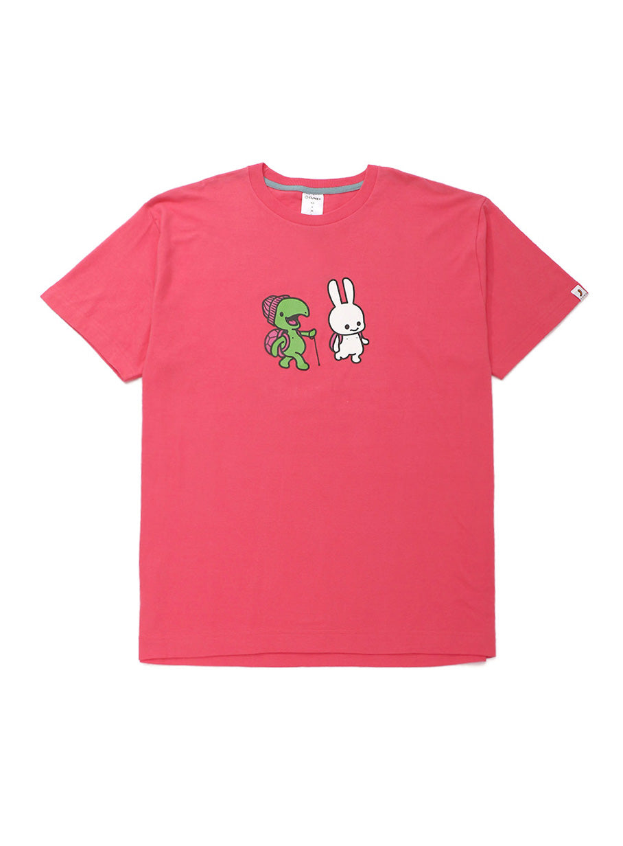 S/Stee うさぎとカメ