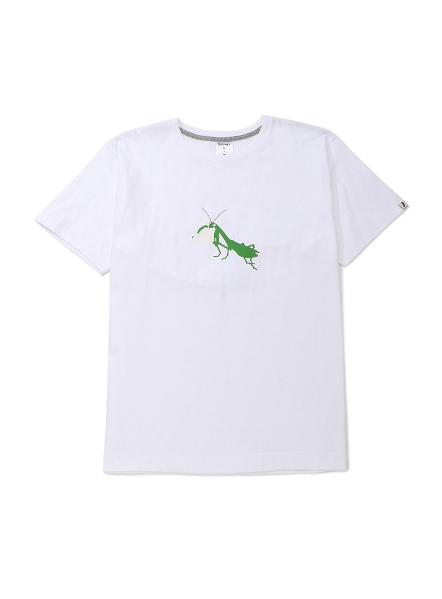 S/Stee カマキリ