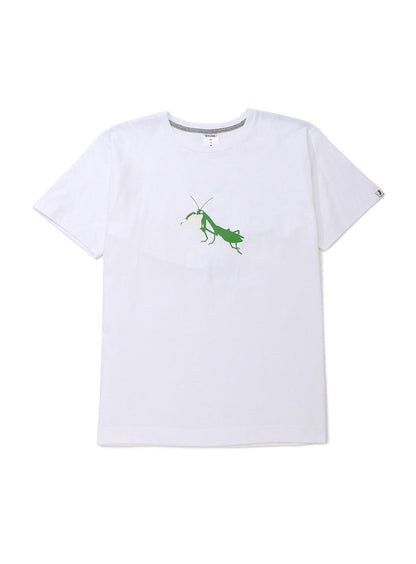 S/Stee カマキリ