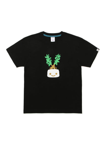 S/S Tee ガジュマル