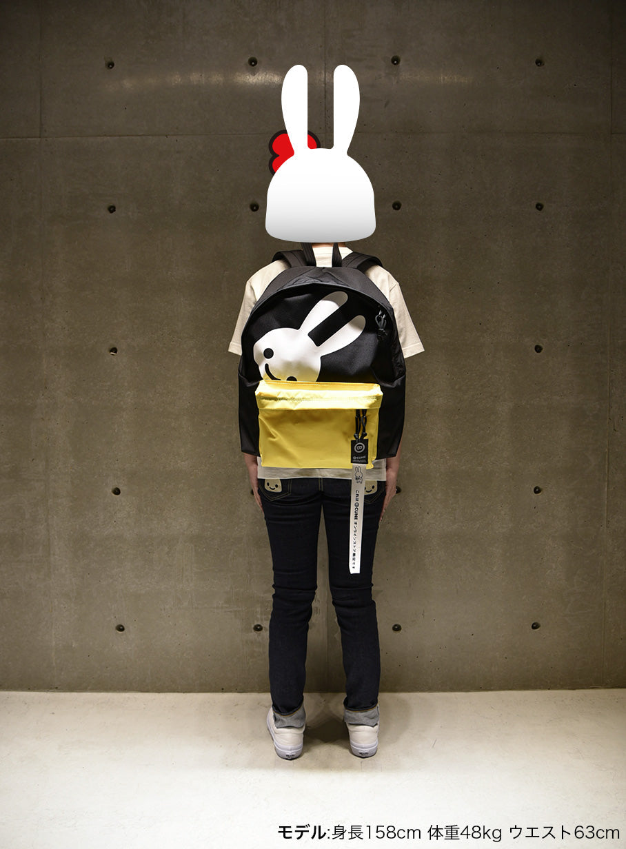 コンビビックバックパック